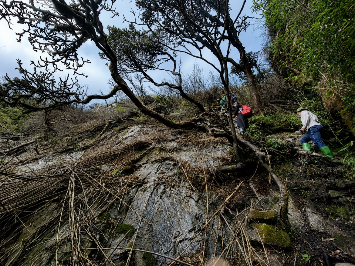 Khi đại ngàn và phóng viên cùng "thở ra đằng mắt"